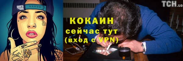 соль ск Алексеевка