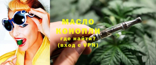 мет Алексин