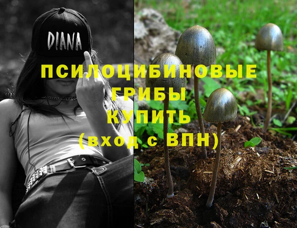 соль ск Алексеевка