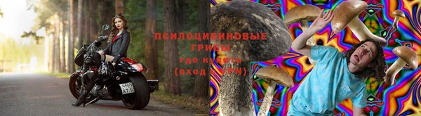 соль ск Алексеевка
